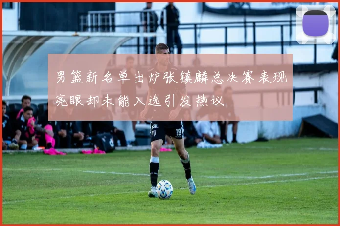 男篮新名单出炉张镇麟总决赛表现亮眼却未能入选引发热议